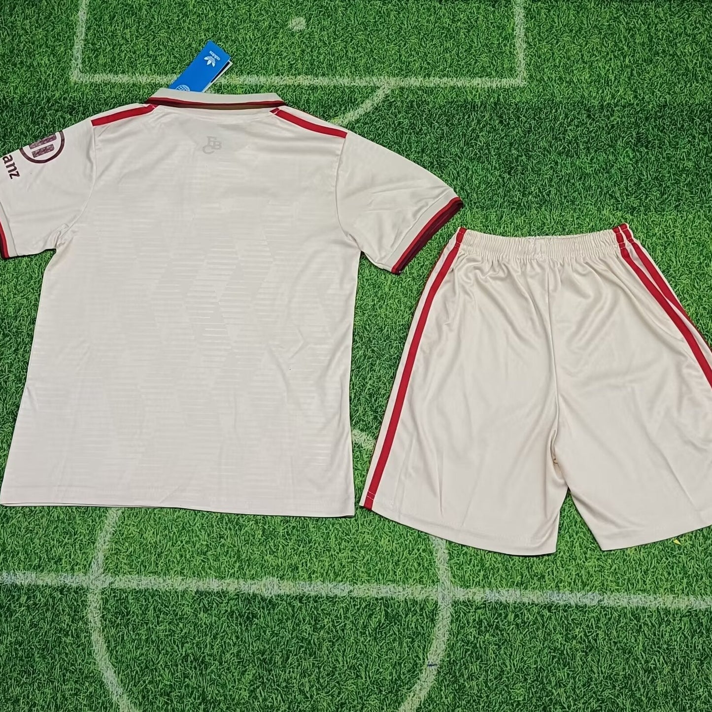 Bayern Munich 3rd Kit 24/25
